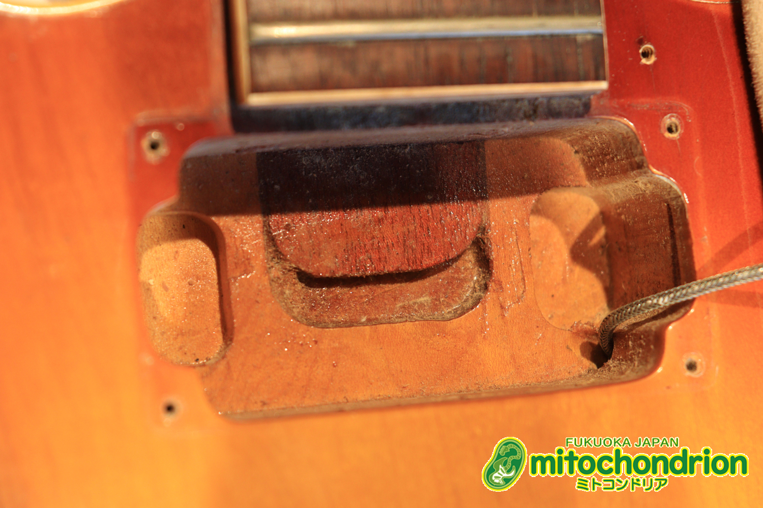 ワイドナットのES-335です！