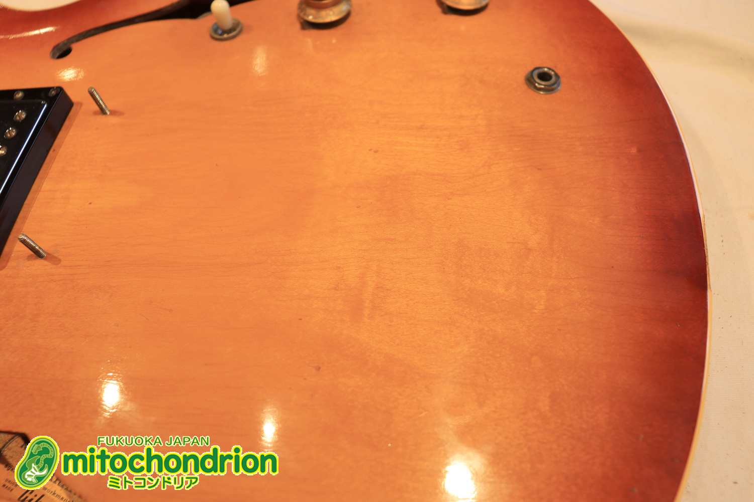 ワイドナットのES-335です！