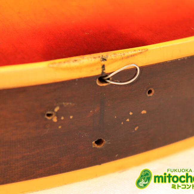 ワイドナットのES-335です！