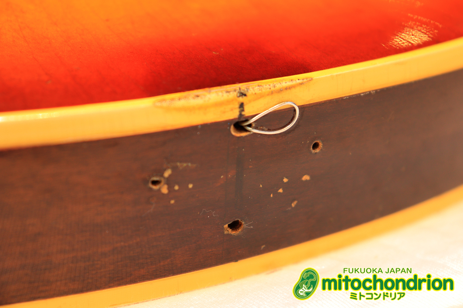 ワイドナットのES-335です！