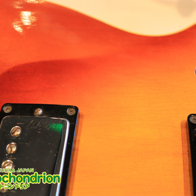 ワイドナットのES-335です！