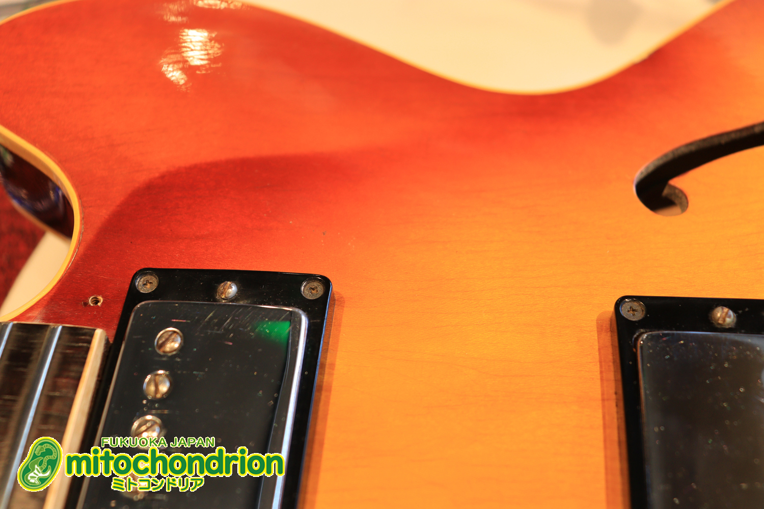 ワイドナットのES-335です！