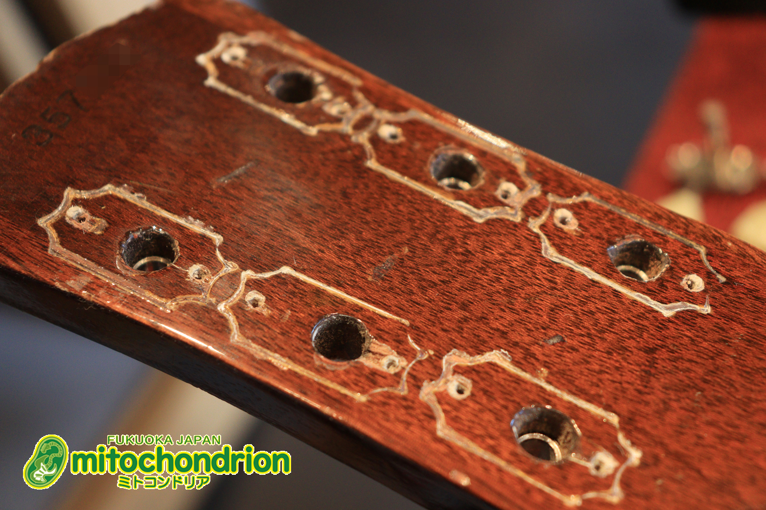 ワイドナットのES-335です！