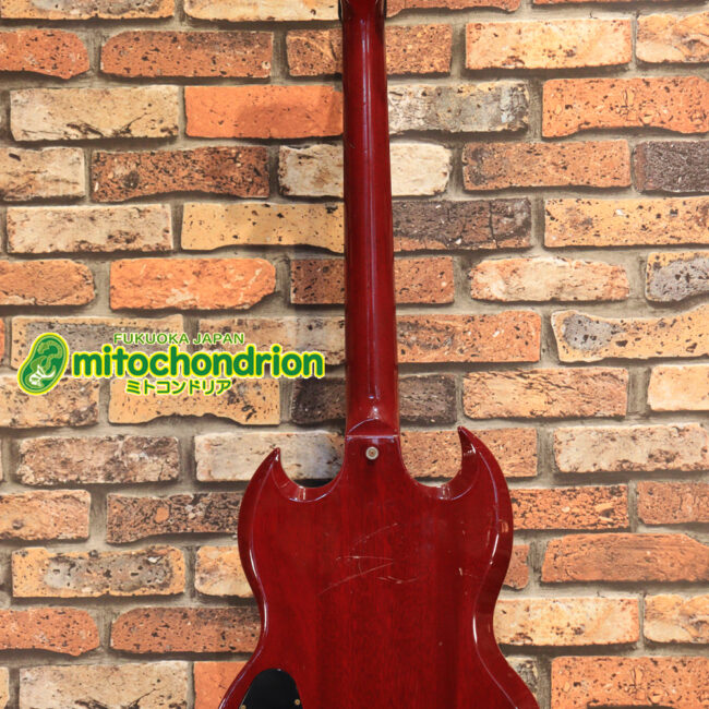 ガンガン弾きたい方にお勧め！ラージガードのSG STANDARD！