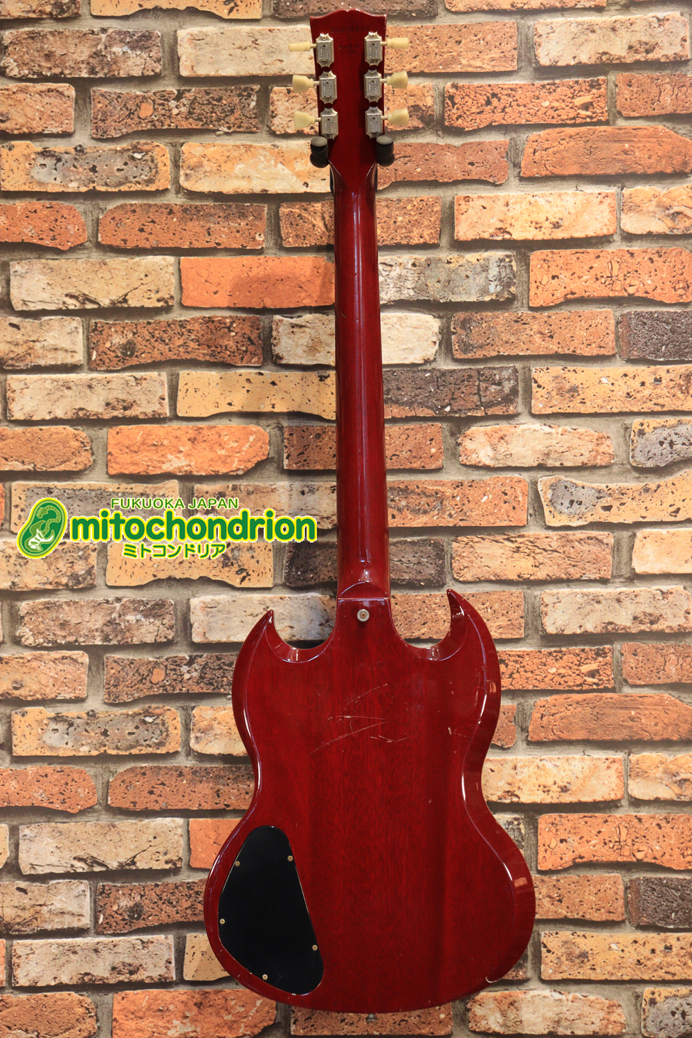 ガンガン弾きたい方にお勧め！ラージガードのSG STANDARD！