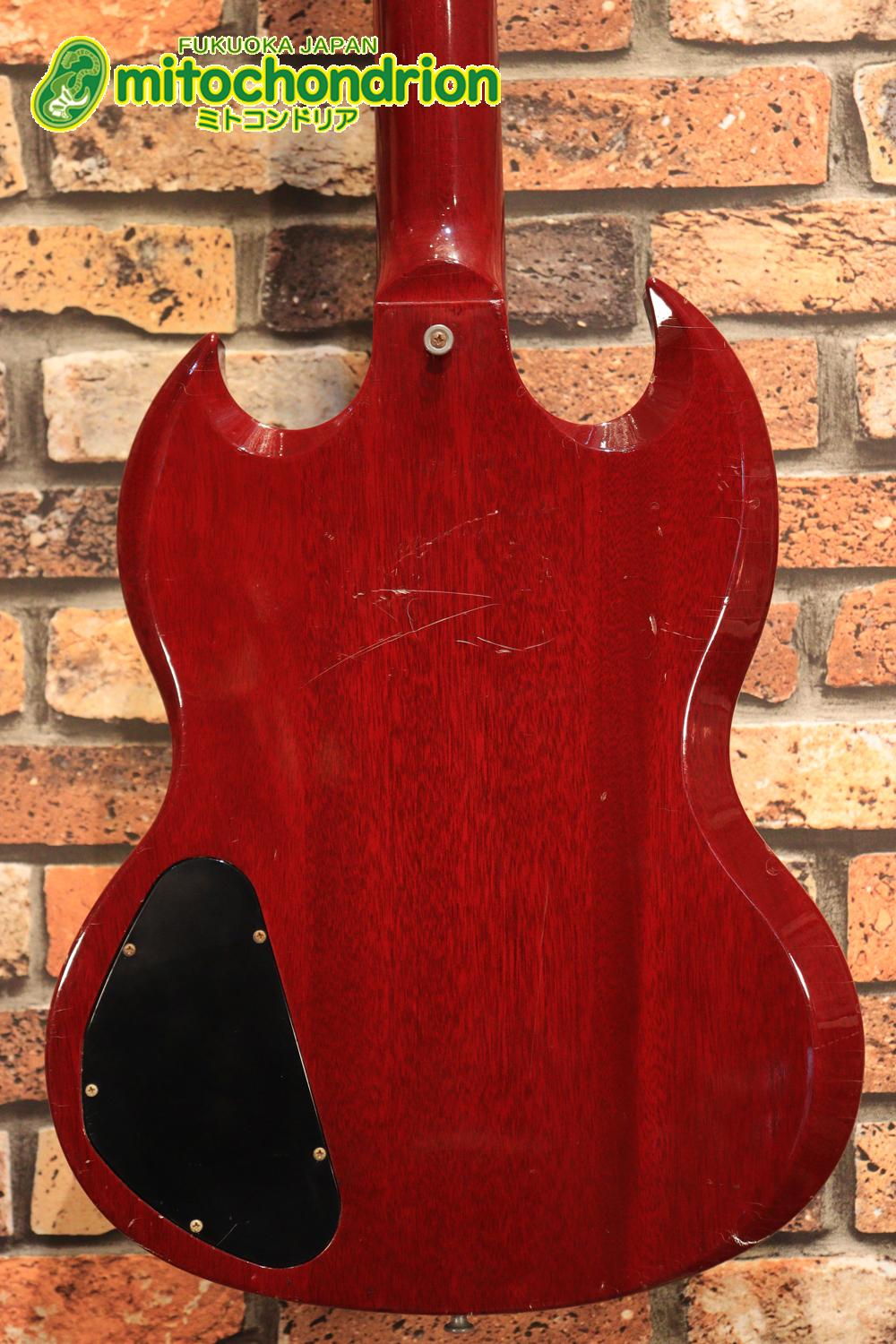 ガンガン弾きたい方にお勧め！ラージガードのSG STANDARD！