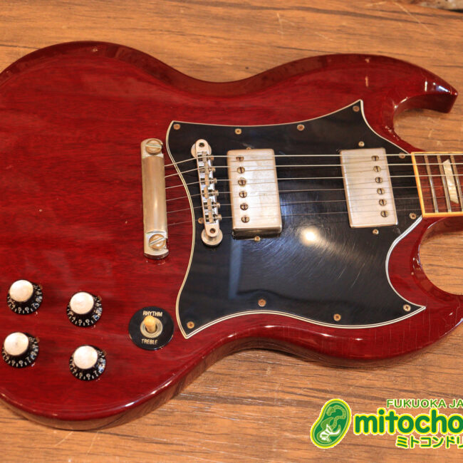 ガンガン弾きたい方にお勧め！ラージガードのSG STANDARD！