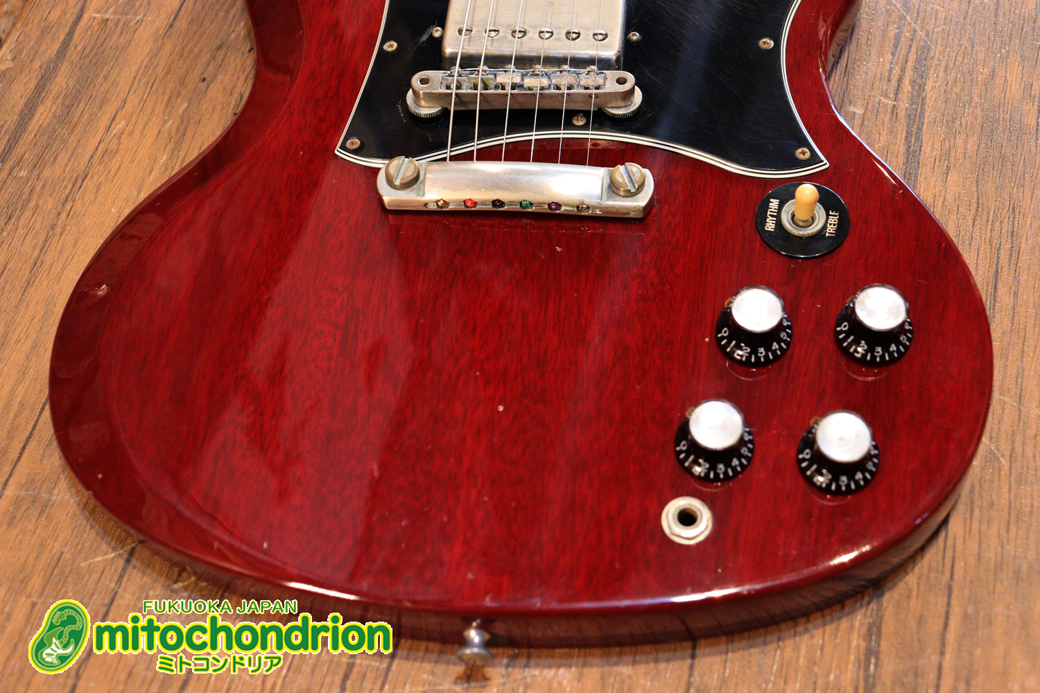 ガンガン弾きたい方にお勧め！ラージガードのSG STANDARD！