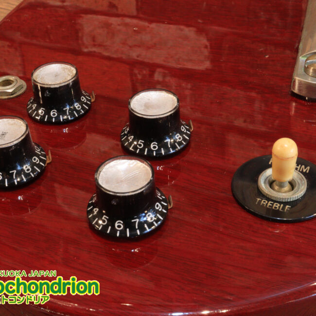 ガンガン弾きたい方にお勧め！ラージガードのSG STANDARD！