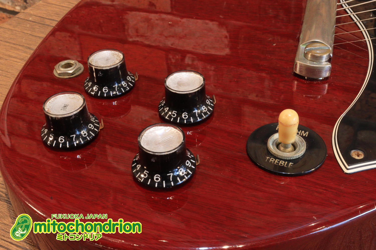 ガンガン弾きたい方にお勧め！ラージガードのSG STANDARD！