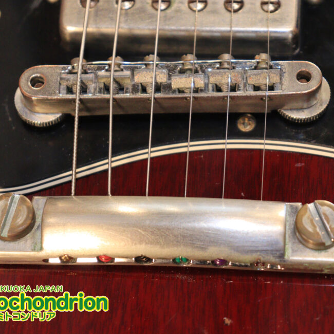 ガンガン弾きたい方にお勧め！ラージガードのSG STANDARD！