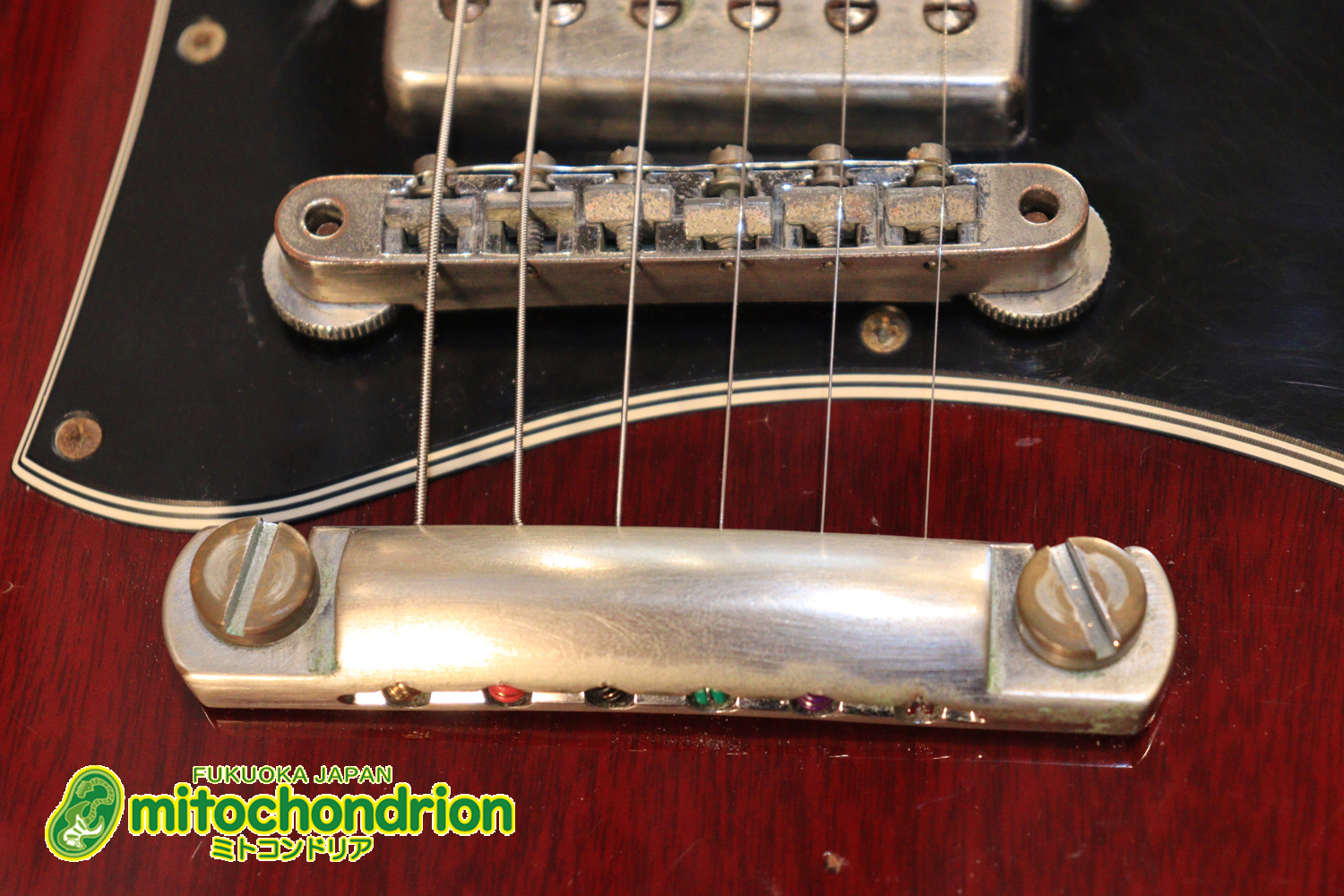 ガンガン弾きたい方にお勧め！ラージガードのSG STANDARD！