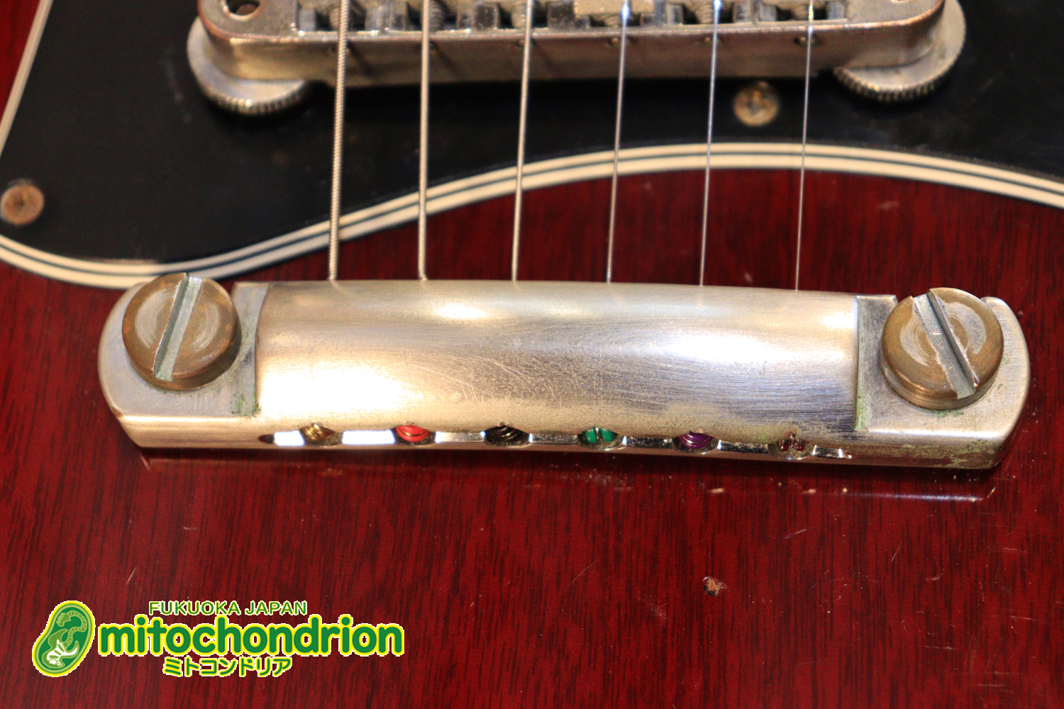 ガンガン弾きたい方にお勧め！ラージガードのSG STANDARD！