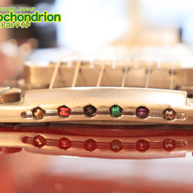 ガンガン弾きたい方にお勧め！ラージガードのSG STANDARD！