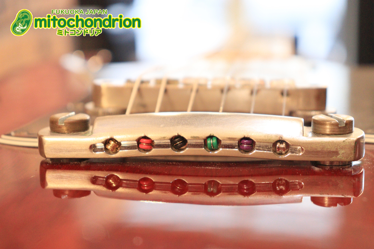 ガンガン弾きたい方にお勧め！ラージガードのSG STANDARD！