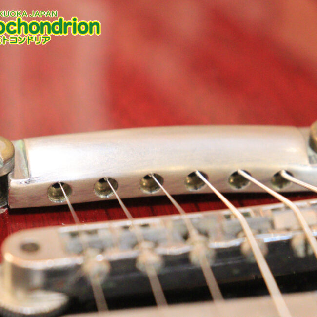 ガンガン弾きたい方にお勧め！ラージガードのSG STANDARD！