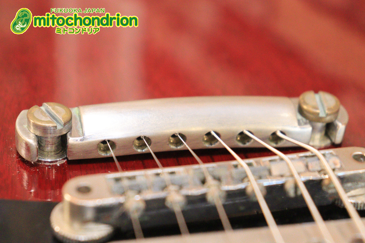 ガンガン弾きたい方にお勧め！ラージガードのSG STANDARD！