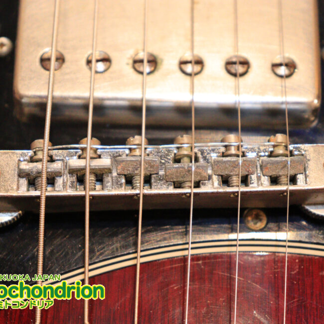 ガンガン弾きたい方にお勧め！ラージガードのSG STANDARD！