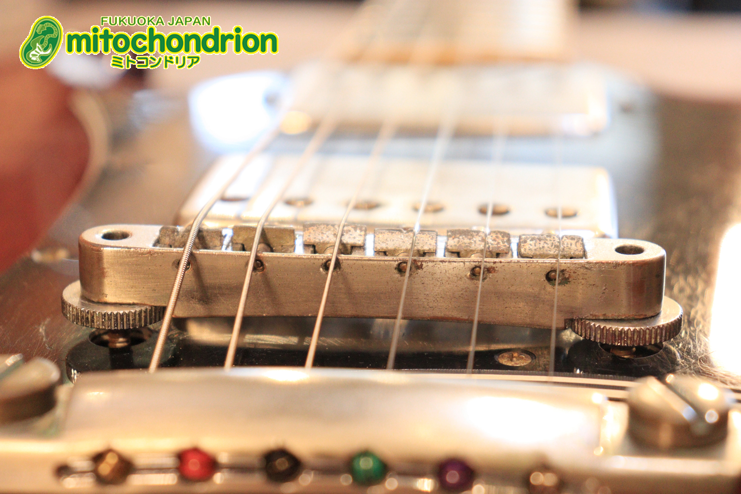 ガンガン弾きたい方にお勧め！ラージガードのSG STANDARD！