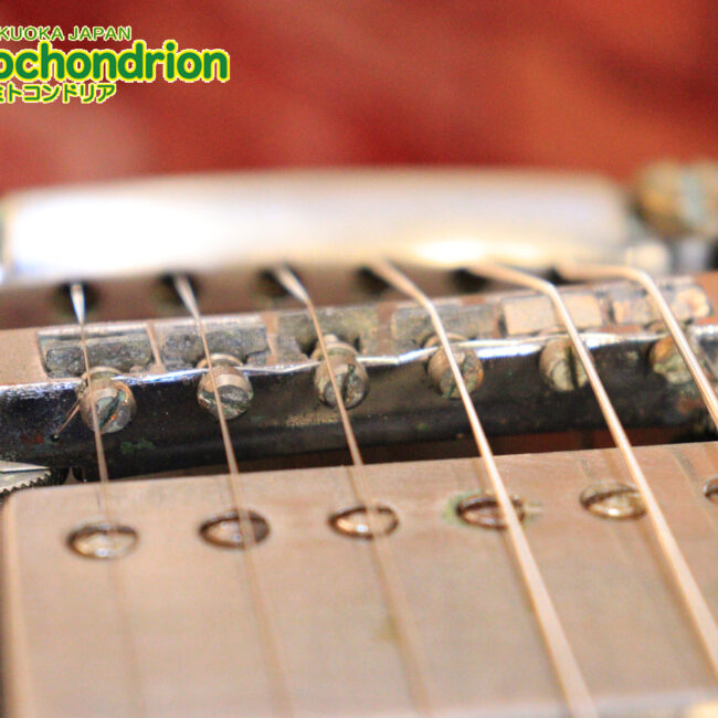 ガンガン弾きたい方にお勧め！ラージガードのSG STANDARD！