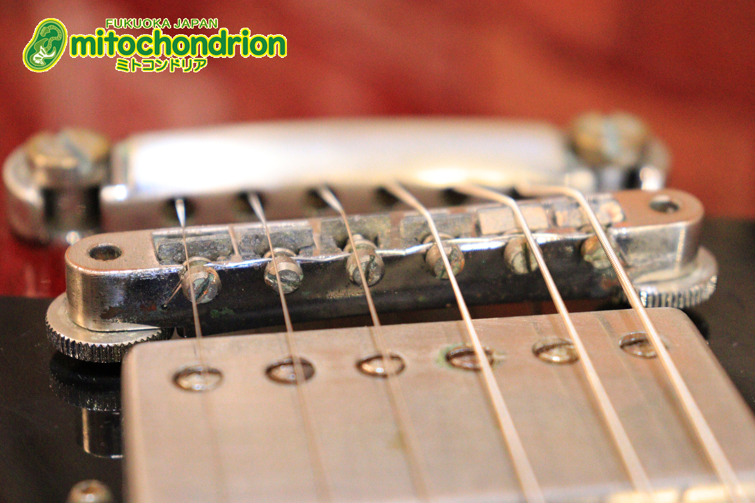 ガンガン弾きたい方にお勧め！ラージガードのSG STANDARD！