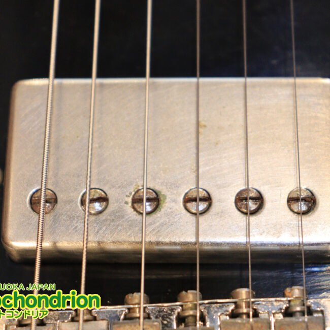 ガンガン弾きたい方にお勧め！ラージガードのSG STANDARD！