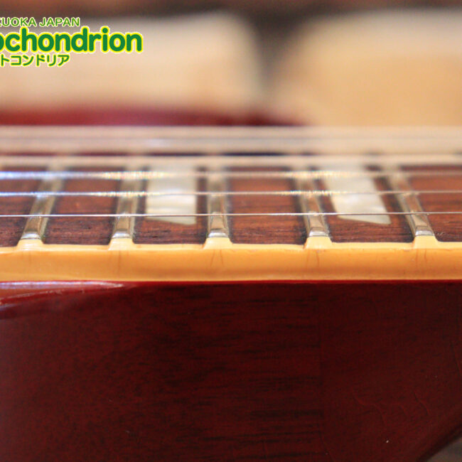 ガンガン弾きたい方にお勧め！ラージガードのSG STANDARD！