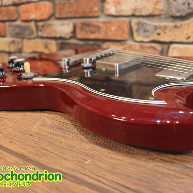 ガンガン弾きたい方にお勧め！ラージガードのSG STANDARD！