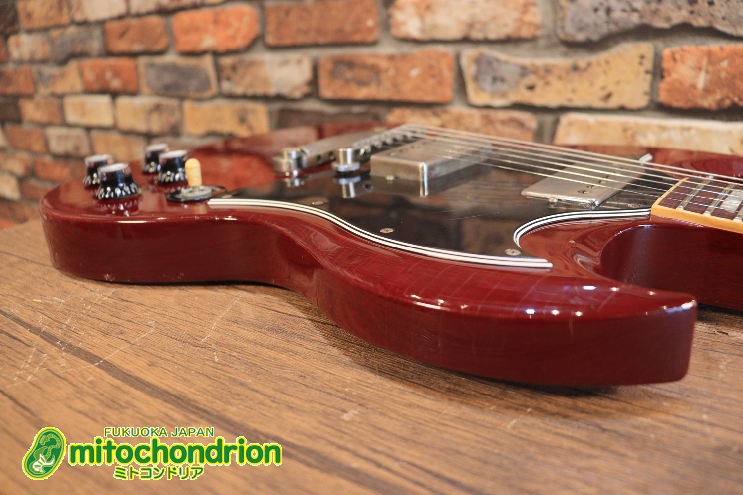 ガンガン弾きたい方にお勧め！ラージガードのSG STANDARD！