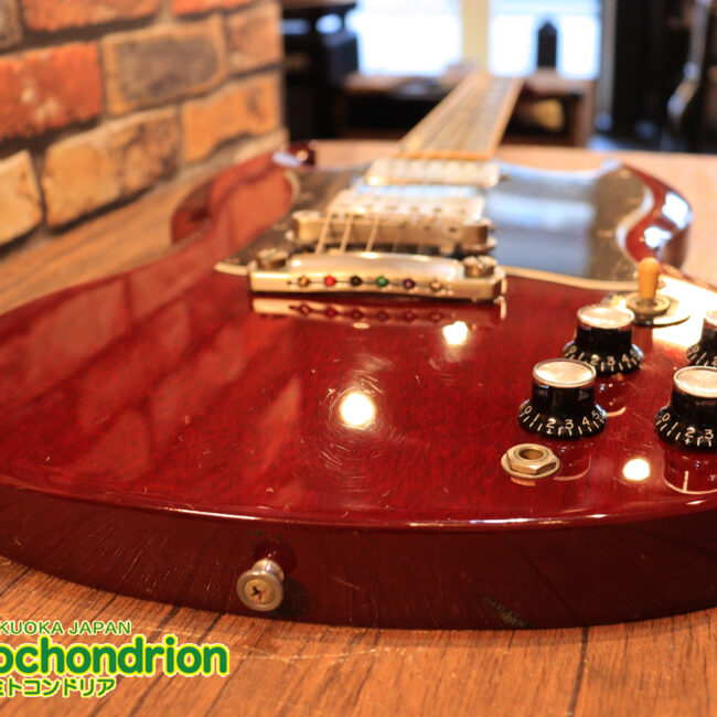 ガンガン弾きたい方にお勧め！ラージガードのSG STANDARD！