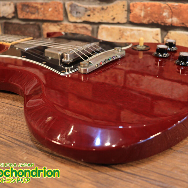 ガンガン弾きたい方にお勧め！ラージガードのSG STANDARD！