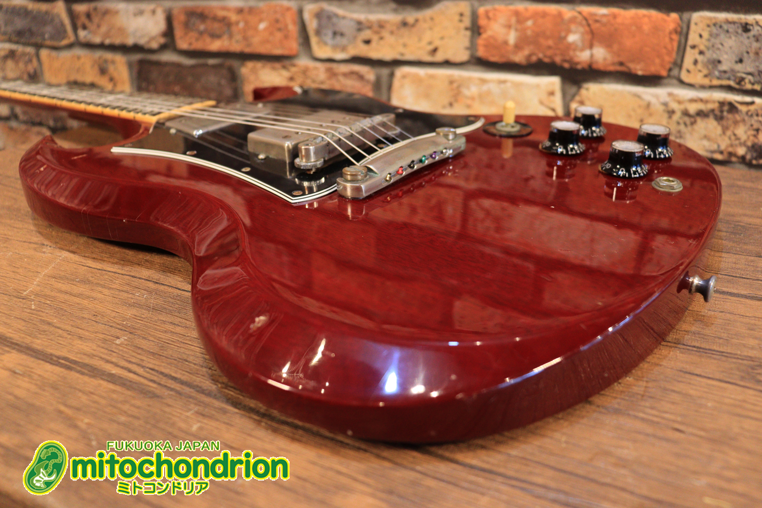 ガンガン弾きたい方にお勧め！ラージガードのSG STANDARD！