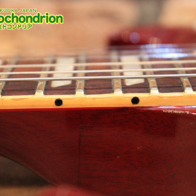 ガンガン弾きたい方にお勧め！ラージガードのSG STANDARD！