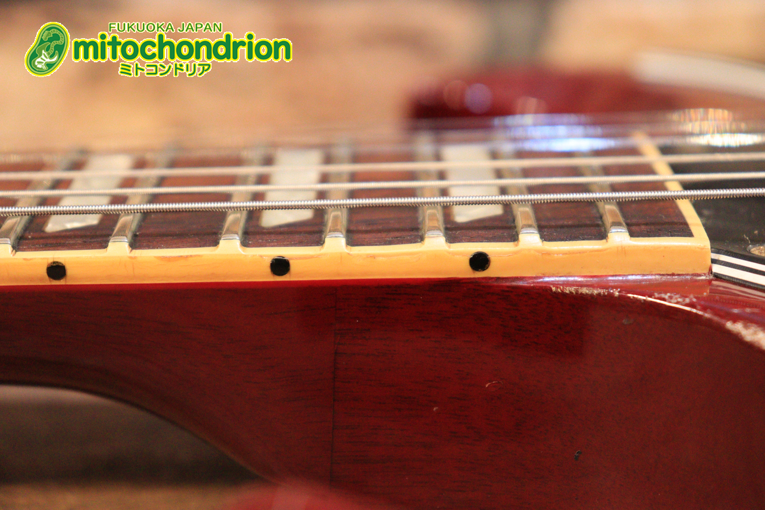 ガンガン弾きたい方にお勧め！ラージガードのSG STANDARD！