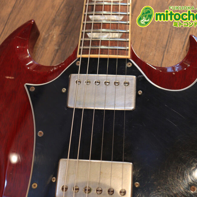 ガンガン弾きたい方にお勧め！ラージガードのSG STANDARD！