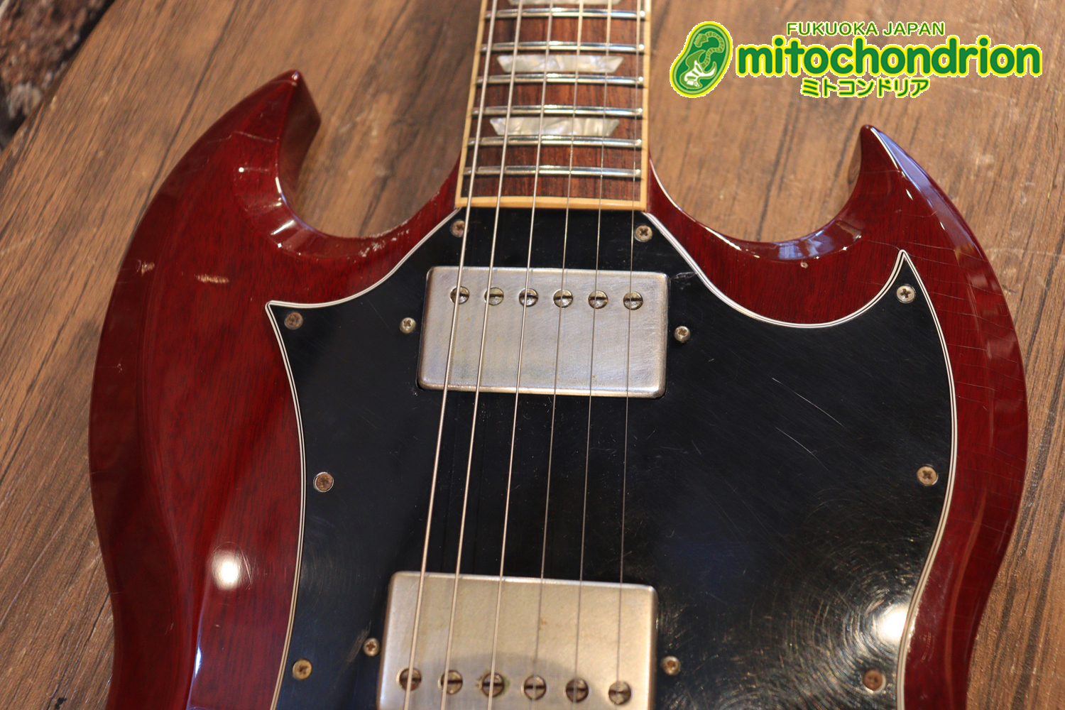 ガンガン弾きたい方にお勧め！ラージガードのSG STANDARD！