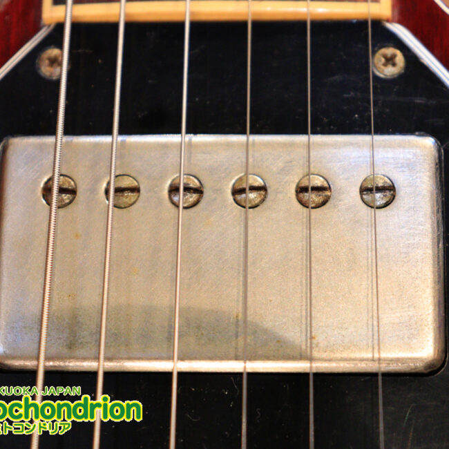 ガンガン弾きたい方にお勧め！ラージガードのSG STANDARD！