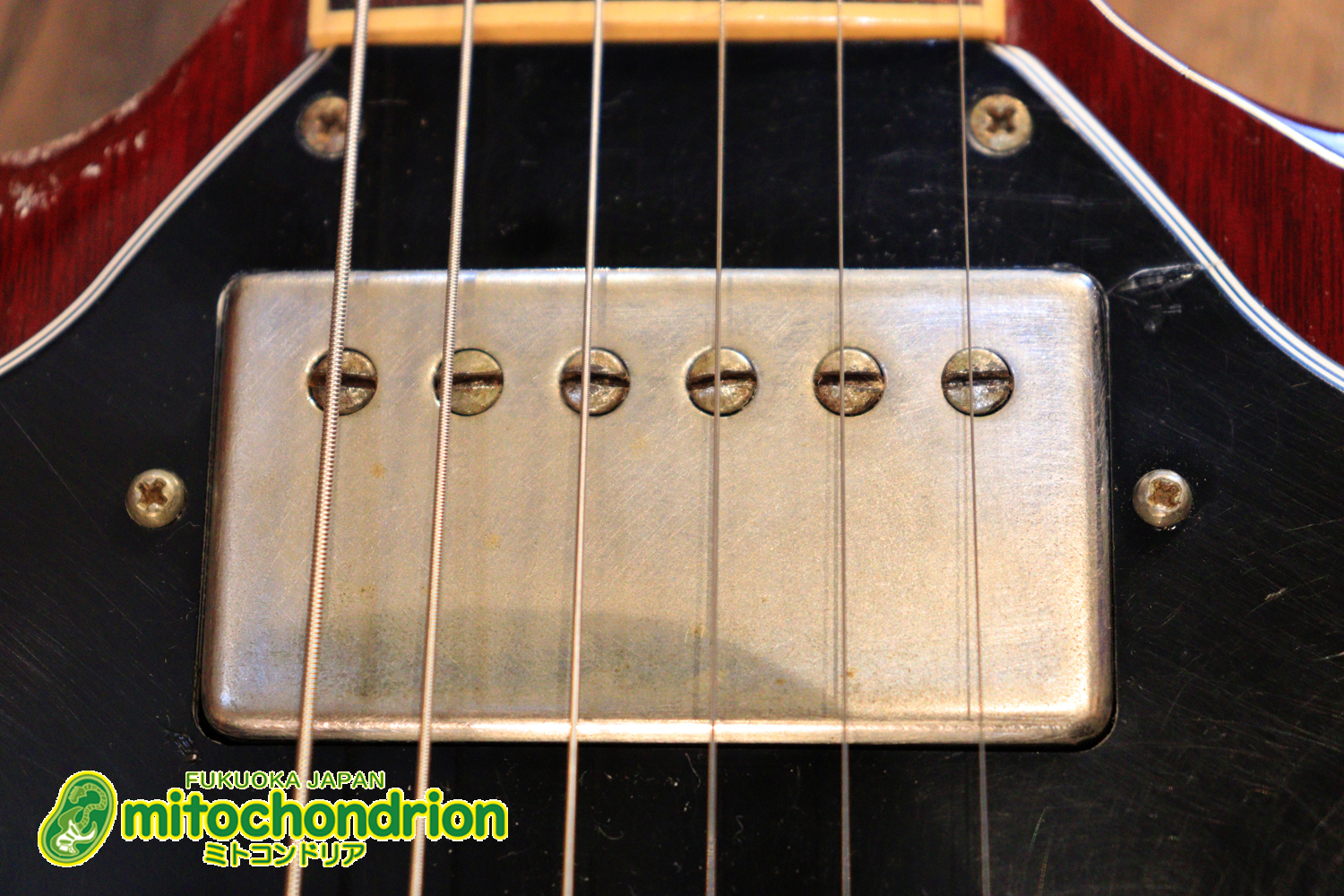 ガンガン弾きたい方にお勧め！ラージガードのSG STANDARD！