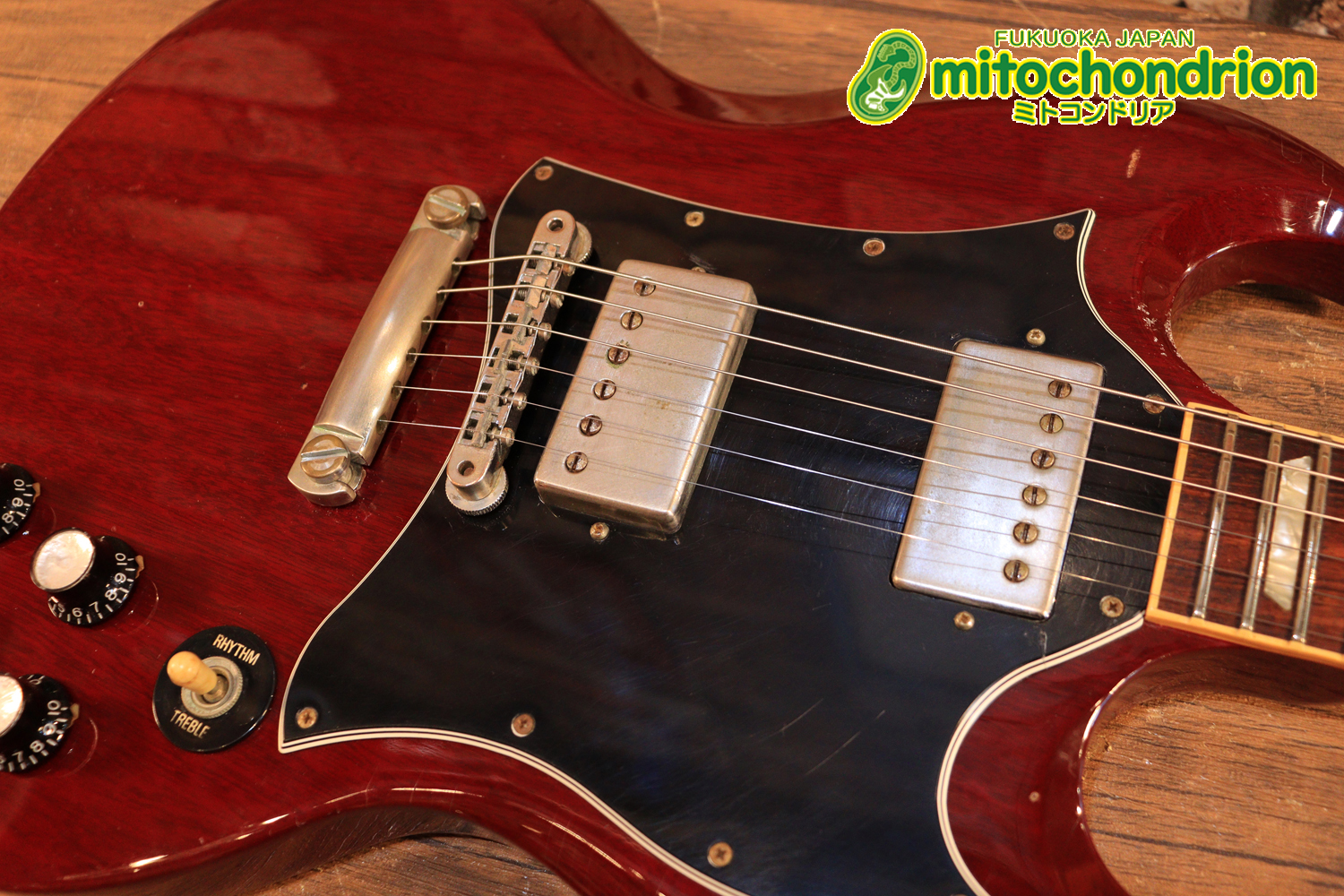 ガンガン弾きたい方にお勧め！ラージガードのSG STANDARD！