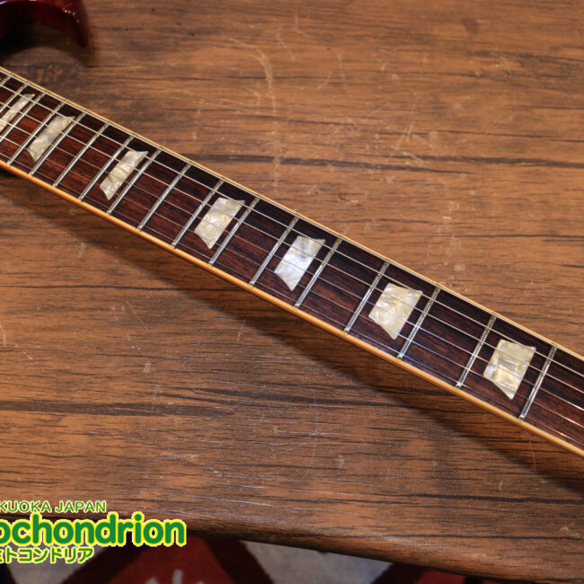 ガンガン弾きたい方にお勧め！ラージガードのSG STANDARD！