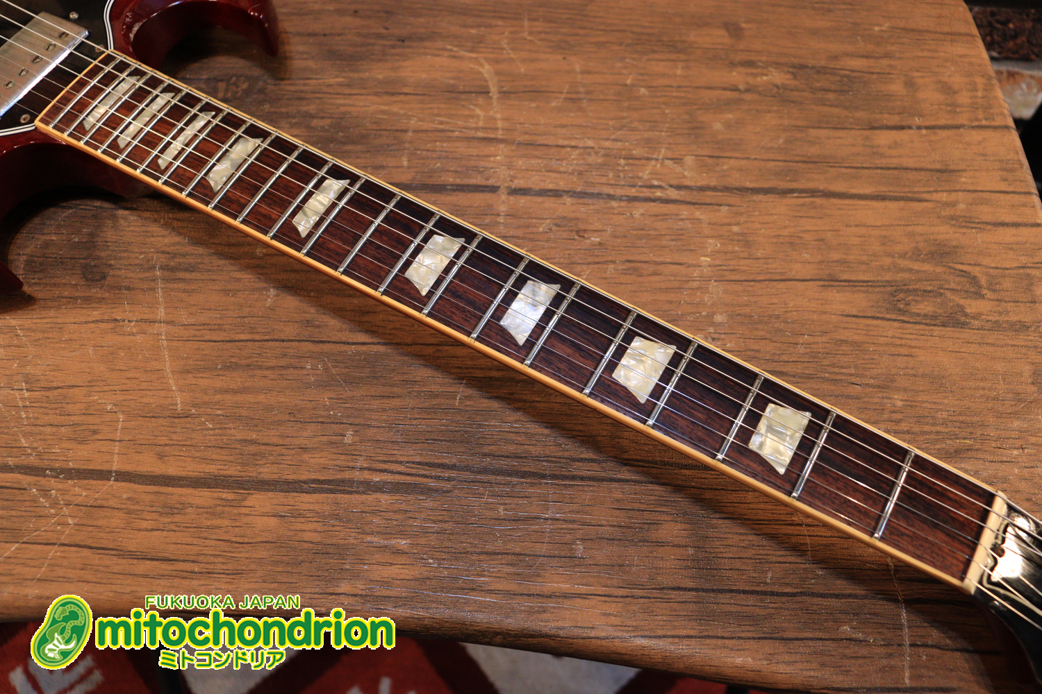 ガンガン弾きたい方にお勧め！ラージガードのSG STANDARD！