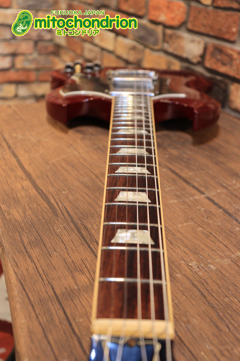 ガンガン弾きたい方にお勧め！ラージガードのSG STANDARD！