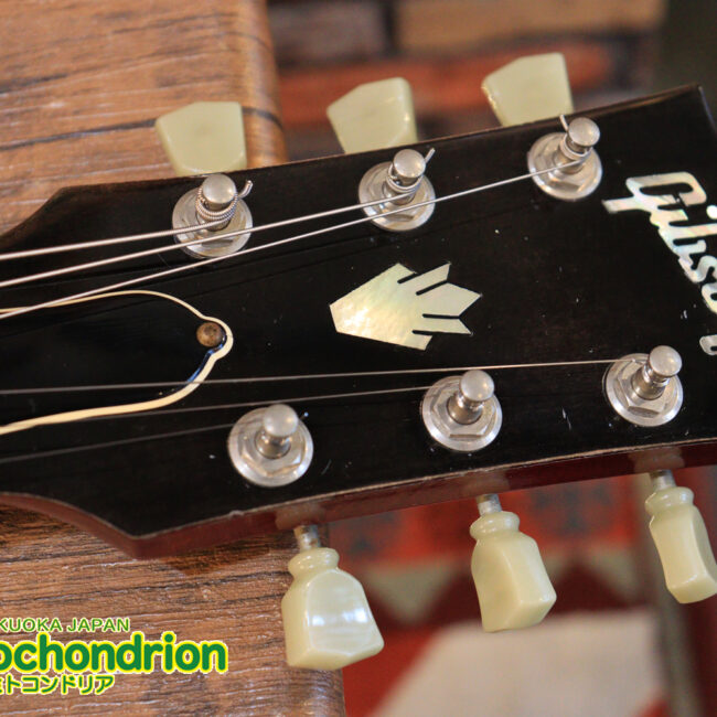 ガンガン弾きたい方にお勧め！ラージガードのSG STANDARD！