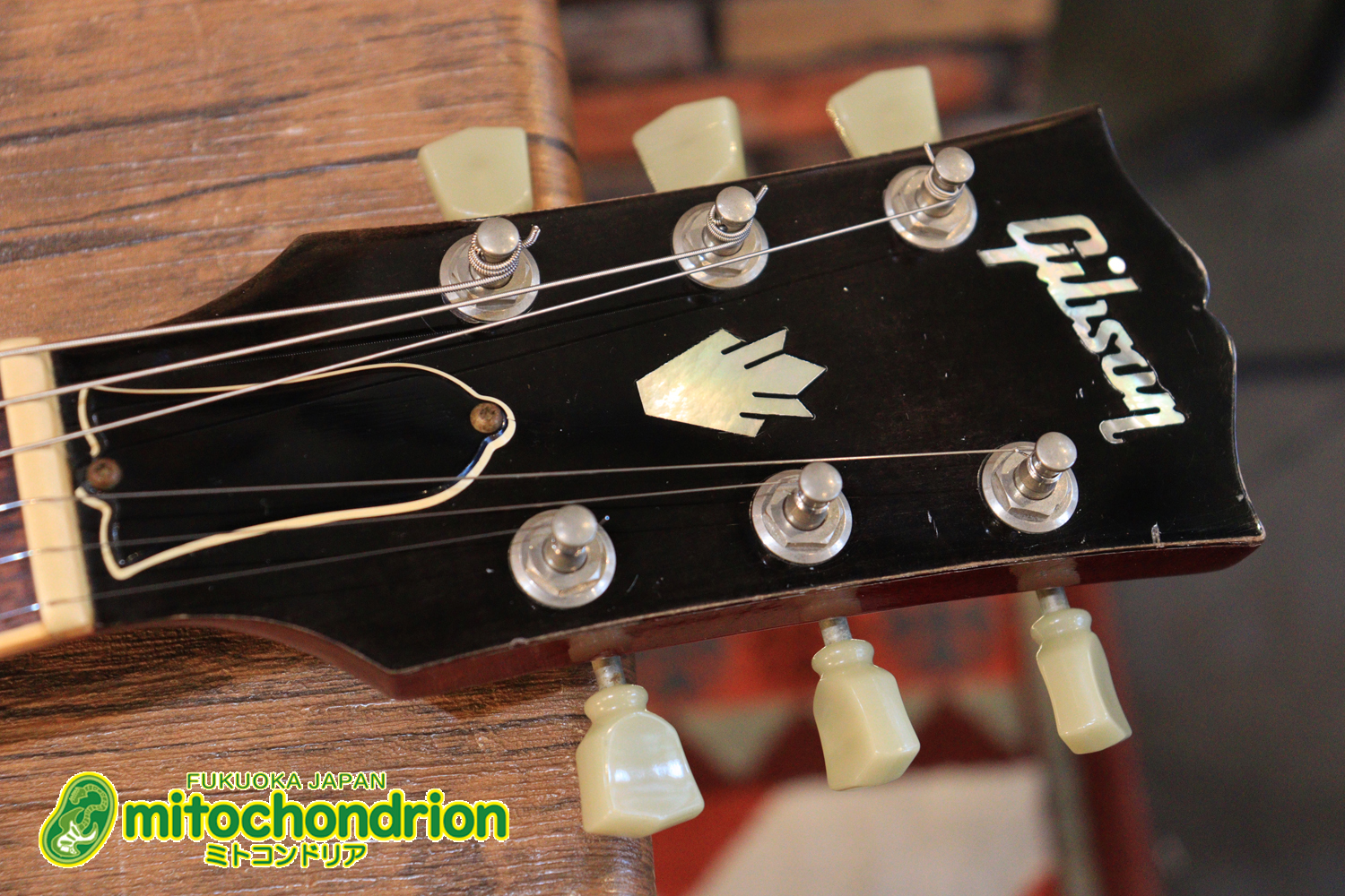 ガンガン弾きたい方にお勧め！ラージガードのSG STANDARD！