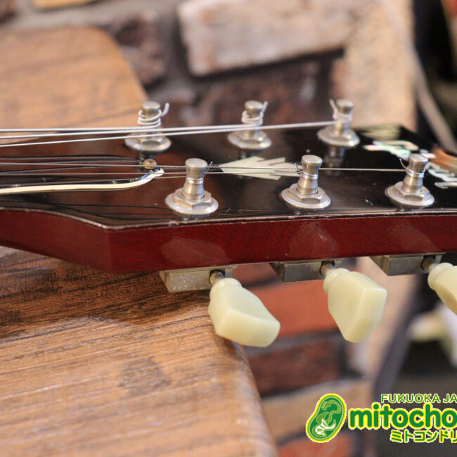 ガンガン弾きたい方にお勧め！ラージガードのSG STANDARD！