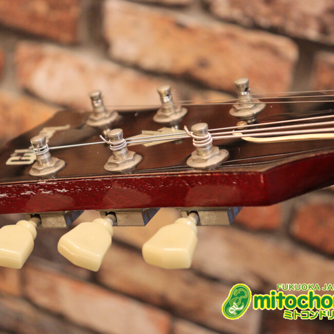 ガンガン弾きたい方にお勧め！ラージガードのSG STANDARD！