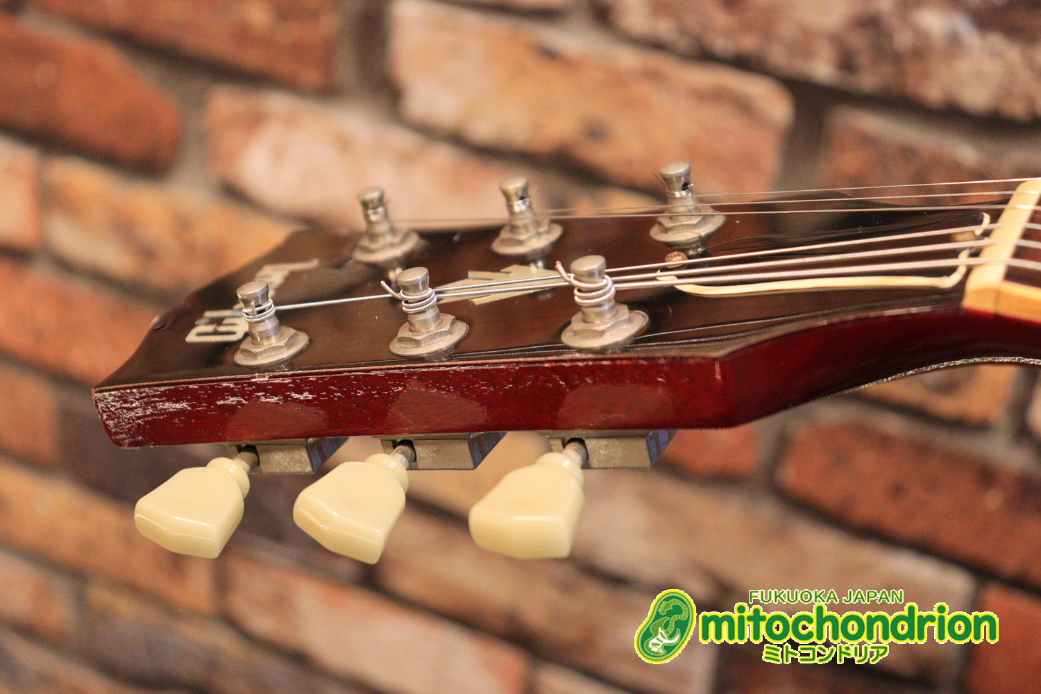 ガンガン弾きたい方にお勧め！ラージガードのSG STANDARD！