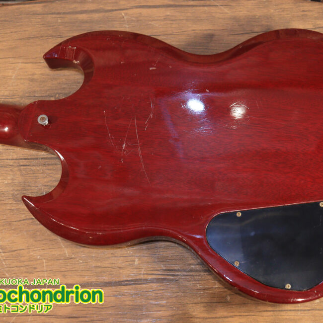 ガンガン弾きたい方にお勧め！ラージガードのSG STANDARD！