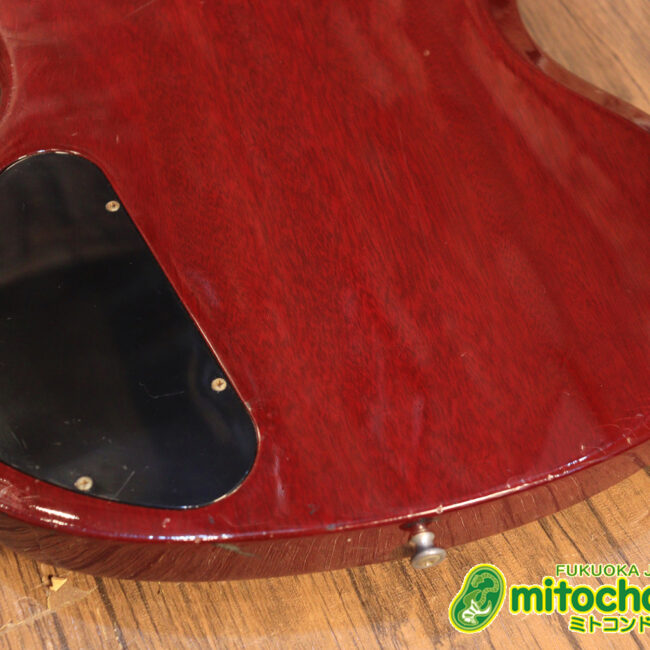 ガンガン弾きたい方にお勧め！ラージガードのSG STANDARD！