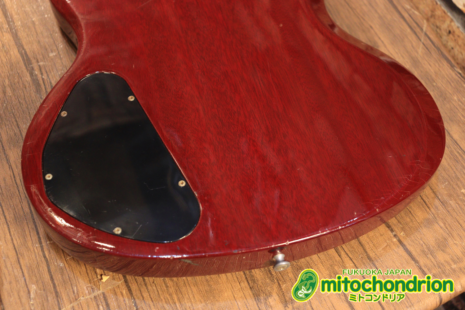 ガンガン弾きたい方にお勧め！ラージガードのSG STANDARD！